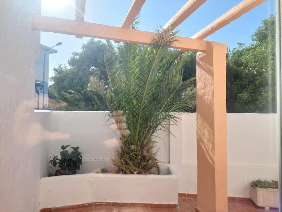 塔里法Piscina, Wifi, Patio Con Vistas公寓 外观 照片