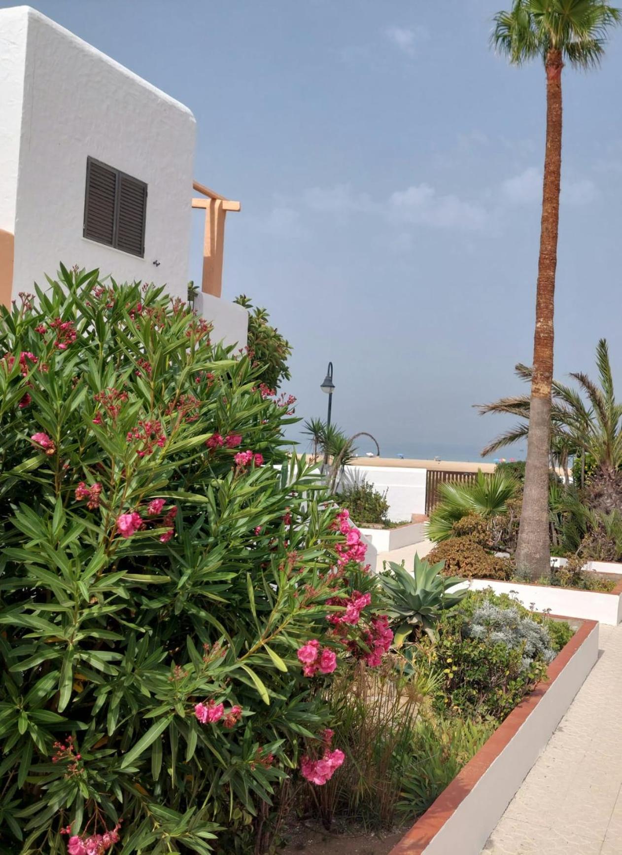 塔里法Piscina, Wifi, Patio Con Vistas公寓 外观 照片